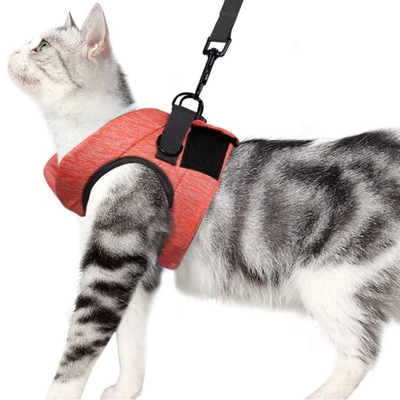 Cat harness and leash also for rabbit - Picture 2 of 15